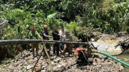 Tuyên Quang: Xử lý 9 đối tượng khai thác vàng trái phép trong rừng, tạm giữ toàn bộ phương tiện