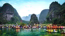 Đến một nơi núi non, sông nước ở tỉnh Ninh Bình, có người chỉ thích coi loài cây này