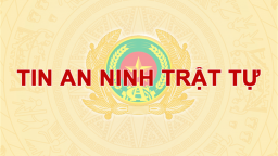 Bắt doanh nhân người Mỹ vì trốn hơn 3,2 tỷ đồng tiền thuế 
