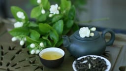 TP.HCM đưa “ngoại giao trà” vào khách sạn cao cấp