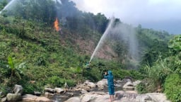 Thái Nguyên: Giữ vững rừng, phát triển lâm nghiệp bền vững sau sáp nhập