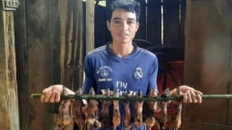 Đặc sản đãi khách quý ở vùng núi tỉnh Kon Tum (cũ) là con động vật chuyên rình 'ăn trộm đồ quốc bảo' này đây