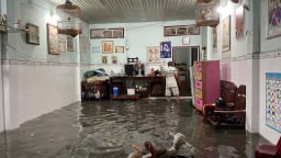
Mưa lớn gây ngập ở TP.HCM, chính quyền tìm giải pháp tổng thể