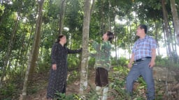Nông thôn Tây Bắc: Nhiều cách làm sáng tạo trong xây dựng nông thôn mới ở Lào Cai