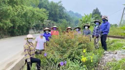 Nông thôn mới Tây Bắc: Con đường nở hoa ở Lào Cai