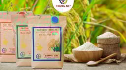Trung An muốn vay 190 tỷ mua gạo cung ứng cho dự trữ quốc gia