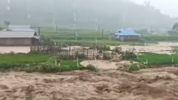 Lào Cai: Mưa lũ làm 1 người mất tích, 3 người thương vong và hàng trăm ngôi nhà bị hư hỏng