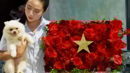 Chị đẹp Hà thành tái hiện Quốc kỳ bằng hoa tươi mừng Tết Độc lập