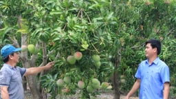 Một xã ở Khánh Hòa, nâng chất nông thôn mới trên nền tảng thành quả của ba xã cũ