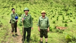 Một người có biệt tài biến 'đầu sỏ lâm tặc' thành người giữ rừng ở 'cổng trời' Mang Yang, tỉnh Gia Lai