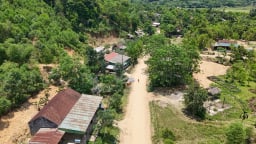 Tiêu chí, điều kiện chuyển mục đích sử dụng đất rừng sản xuất mới nhất năm 2026