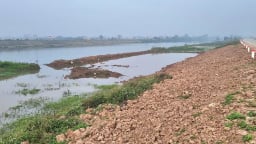 Sau phản ánh của Dân Việt, Ninh Bình kiểm điểm các tập thể, cá nhân liên quan vụ vận chuyển đất giữa cánh đồng cày ải 