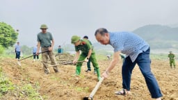 Nông thôn Tây Bắc: Khôi phục cây mía ở Lâm Giang (Lào Cai)