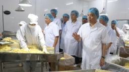 Liên kết nâng cao giá trị sản phẩm măng tre ở Lào Cai