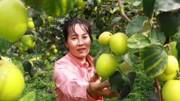 Các ngành kinh tế xanh sẽ trở thành động lực tăng trưởng dài hạn, chuyên gia đề xuất 3 yếu tố cốt lõi để chuyển đổi kép