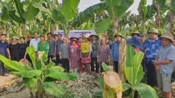 Nông thôn Tây Bắc: Đổi mới đào tạo nghề, nâng chất nguồn nhân lực nông thôn ở Lào Cai