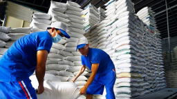 Việt Nam đã xuất khẩu 2,8 triệu tấn gạo, Philippines, Trung Quốc mua nhiều nhất, duy trì kim ngạch 5 tỷ USD mỗi năm 