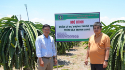 Vùng “thủ phủ” trồng thanh long Bình Thuận, tỉnh Lâm Đồng đang làm cách gì để đạt chuẩn VietGAP, xuất khẩu 'hanh thông'?