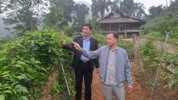 Hướng tới Đại hội Hội Nông dân Việt Nam lần thứ IX: Hội Nông dân Thái Nguyên hỗ trợ xây dựng mô hình làm giàu