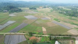 Tuyên Quang: Xã Bắc Quang dự kiến giảm từ 55 xuống 36 thôn sau sắp xếp, 100% thôn đạt chuẩn 