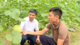 Nông dân Bắc Ninh gửi gắm kỳ vọng gì vào Đại hội Hội Nông dân Việt Nam nhiệm kỳ mới?