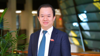 PGS Bùi Hoài Sơn: Nghệ sĩ quảng cáo sai sự thật báo động về sự đổ vỡ của các nền tảng đạo lý