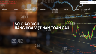 Hé mở về doanh nghiệp 2 năm không doanh thu, 'mặt tiền' như cơ quan nhà nước