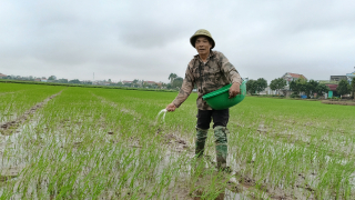Sáp nhập tỉnh Hà Nam, Nam Định, Ninh Bình, người dân được hưởng chế độ chính sách đặc thù như thế nào?