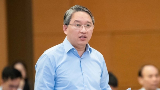 Chính phủ đề xuất bán ngay tang vật, phương tiện vi phạm nếu không có điều kiện bảo quản