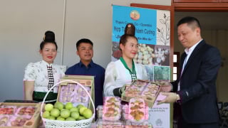 Sơn La 'gỡ khó' chinh phục mục tiêu xuất khẩu nông sản