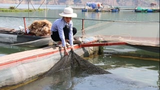 Mô hình chế biến thủy sản trên lòng hồ thủy điện Sơn La