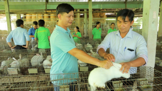 Đây là thành phố có quy mô Quỹ Hỗ trợ nông dân cao thứ 2 ở Việt Nam, đang cho giải ngân 200 triệu đồng/hộ