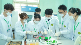 Khi sinh viên Học viện Nông nghiệp Việt Nam 'soi' bệnh cho các loài tôm, cá