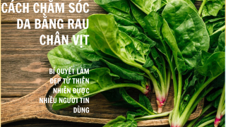 Cách chăm sóc da bằng rau chân vịt: Bí quyết làm đẹp từ thiên nhiên được nhiều người tin dùng