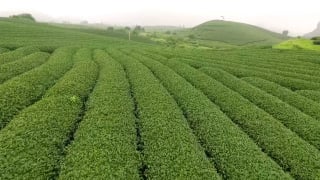 Tận dụng lợi thế, phát triển du lịch, thúc đẩy kinh tế vùng đồng bào dân tộc thiểu số