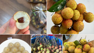 Vải thiều vào mùa vừa ngon vừa rẻ: Ăn 2kg mỗi ngày có tốt cho sức khoẻ không?