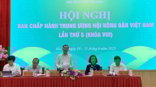 Xây dựng, phát triển tổ chức Hội Nông dân theo mô hình bộ máy mới, tập trung chuẩn bị Đại hội Hội Nông dân các cấp