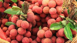 Mùng 1 tháng 6 Âm lịch nên thắp hương hoa quả gì để lộc lá?