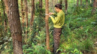 Chứng chỉ rừng bền vững hướng đi mới nâng tầm giá trị ngành lâm nghiệp Lạng Sơn