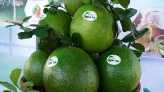Dán một con tem nhỏ, quét nhẹ trên điện thoại là 'truy' tận vườn, nông dân Gia Lai bán nông sản nhàn tênh