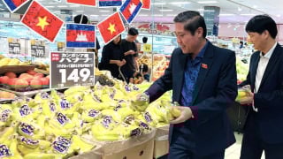 Chuối Việt Nam xuất khẩu sang Nhật tăng 14 lần sau 5 năm, riêng tháng 7 tăng vọt
