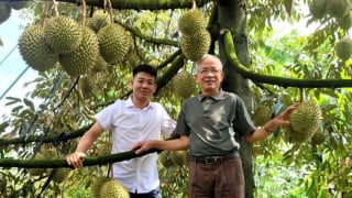 Một người Lâm Đồng “chèo lái” HTX trồng ra cả ngàn tấn sầu riêng xuất khẩu là Nông dân Việt Nam xuất sắc 2025