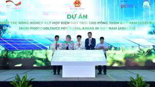 Lần đầu tiên tại Việt Nam có mô hình nông nghiệp kết hợp điện mặt trời, vừa sản xuất, vừa tạo ra năng lượng sạch