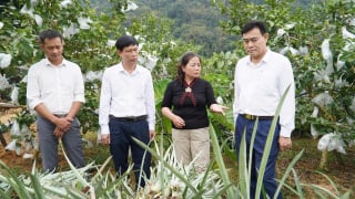 Hội Nông dân Thanh Hóa như cầu nối liên kết giúp nông dân tăng thu nhập