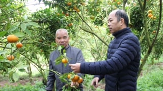 Một xã vùng cao Lạng Sơn xuất hiện nhiều triệu phú, Hội Nông dân đã làm cách nào?