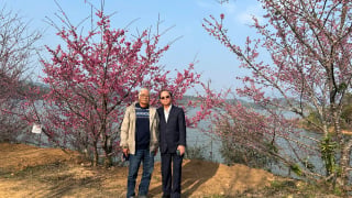 Người Hải Phòng đầu tiên mang giống hoa anh đào (sakura) Nhật Bản về Việt Nam
