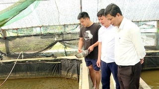 Ốc hương là con ốc gì mà ở tỉnh Ninh Bình mới, gồm địa phận Nam Định trước đây, hễ nhà nào thành công là nhà giàu?