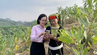 Đưa công nghệ số vào tín dụng chính sách, nông dân Lạng Sơn ngồi nhà cũng có thể trả lãi