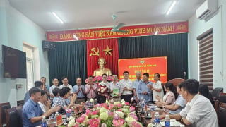 Cây chanh ở Cẩm Tân có thêm “bệ đỡ” mới từ mô hình tổ hội nông dân nghề nghiệp