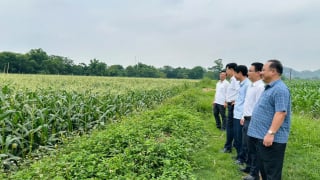 Tập huấn sử dụng sản phẩm, chế phẩm sinh học trong sản xuất nông nghiệp gắn với bảo vệ môi trường